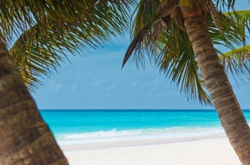Music to Decompress from Bartending
